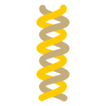 Braided Path